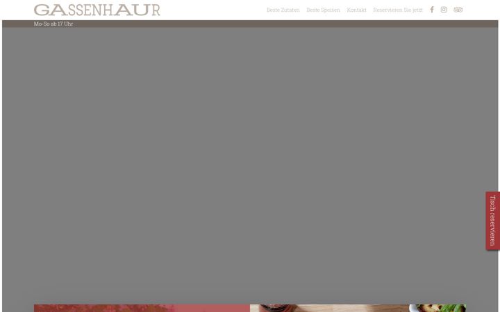 Screenshot of gassenhaur.de