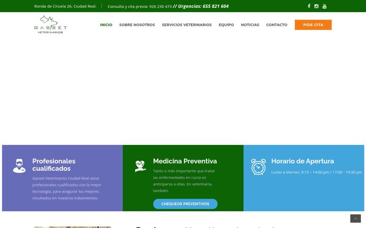 Screenshot of gassetveterinarios.com