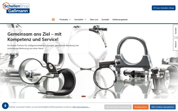 Screenshot of gassmann-gmbh.eu