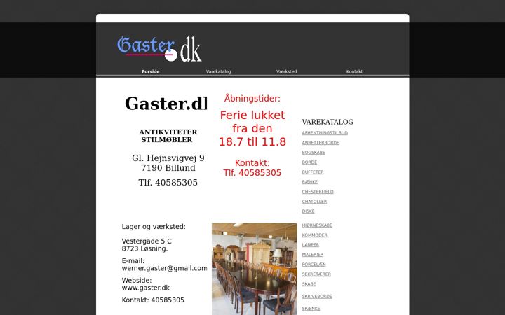 Screenshot of gaster.dk