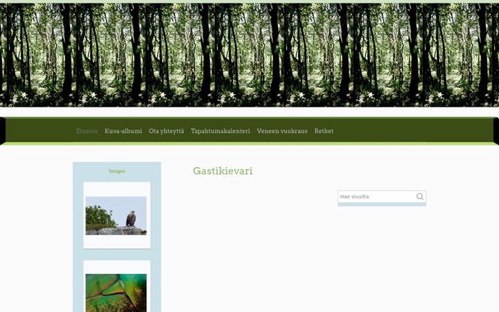 Screenshot of gastikievari.fi