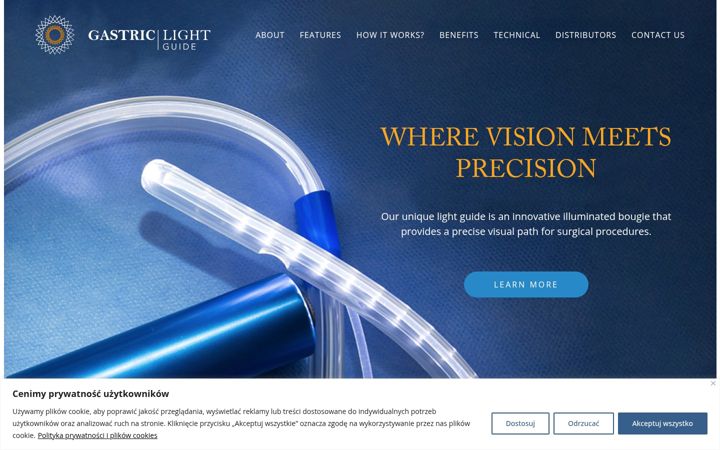 Screenshot of gastriclight.com
