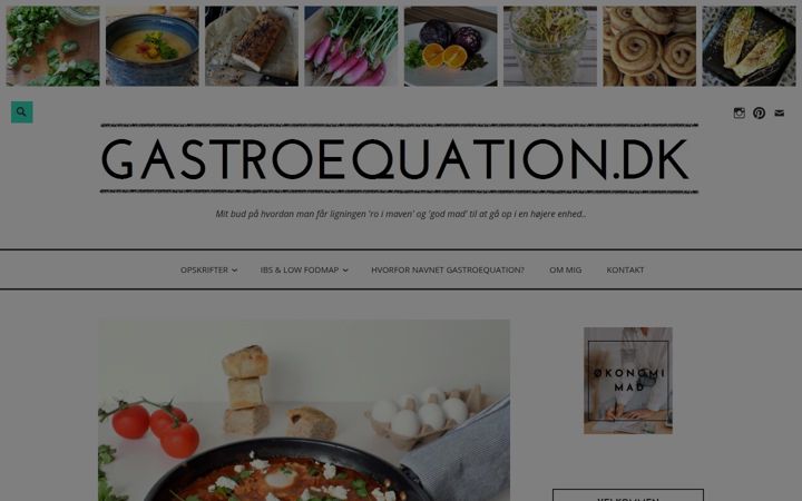 Screenshot of gastroequation.dk