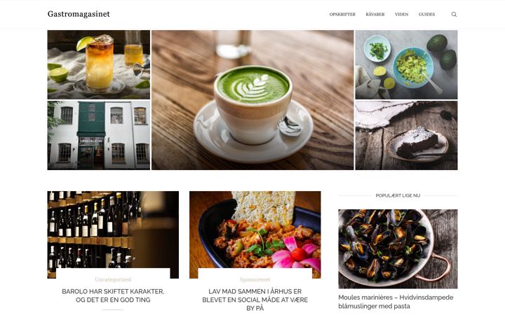 Skjámynd af gastromagasinet.dk
