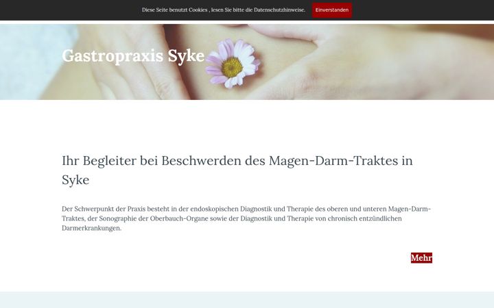 gastropraxissyke.de