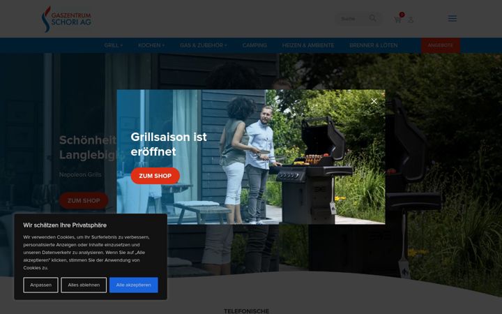 Screenshot of gaszentrum.ch