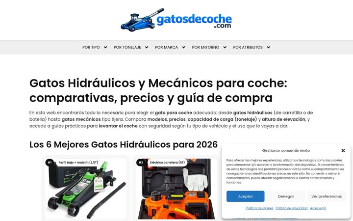 Screenshot of gatosdecoche.com