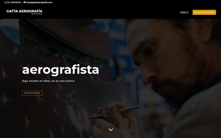Screenshot of gattaaerografia.com