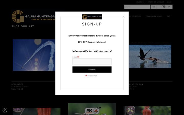 Screenshot of gaunaguntergallery.com