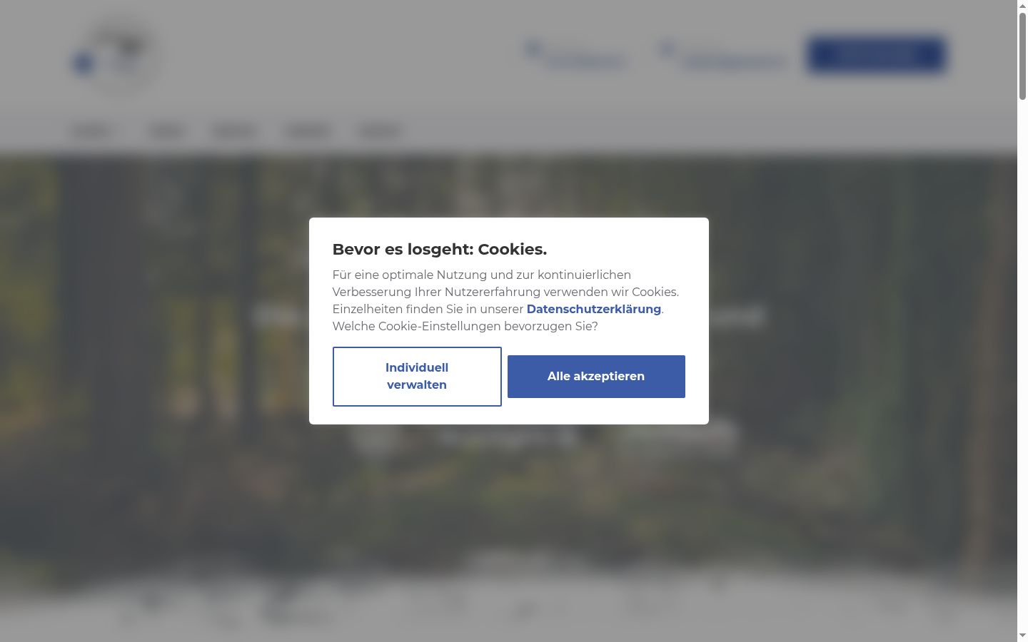 Screenshot del banner di consenso mostrato prima di qualsiasi interazione