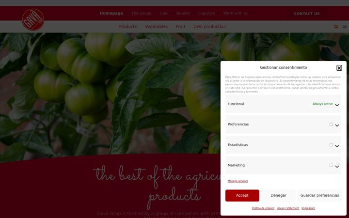 Screenshot of gavagrup.com