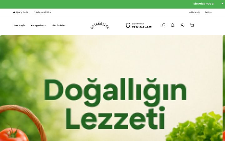 Screenshot of gavanozlaa.com
