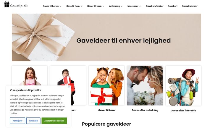 Screenshot of gavetip.dk