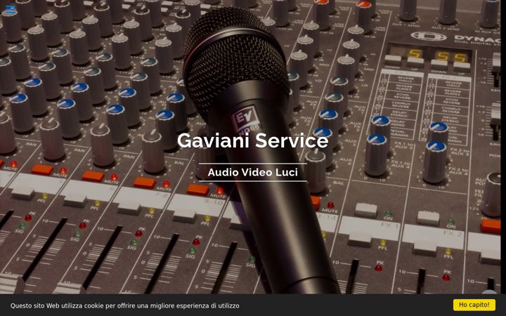 Screenshot of gavianiservice.it