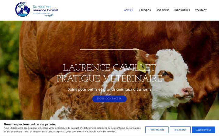 Screenshot of gavilletveterinaire.ch