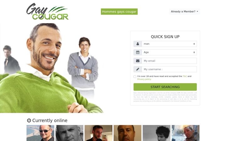 Screenshot of gay-cougar.net