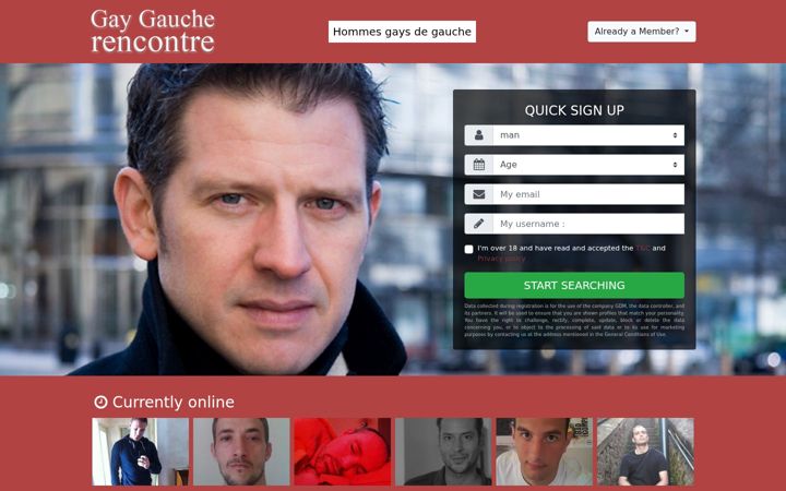 Screenshot of gay-gauche.com
