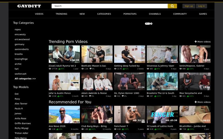 Screenshot of gayditt.com