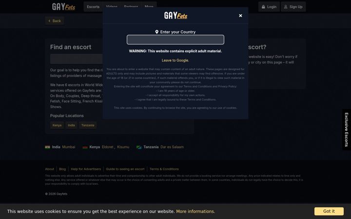 Screenshot of gayfets.com