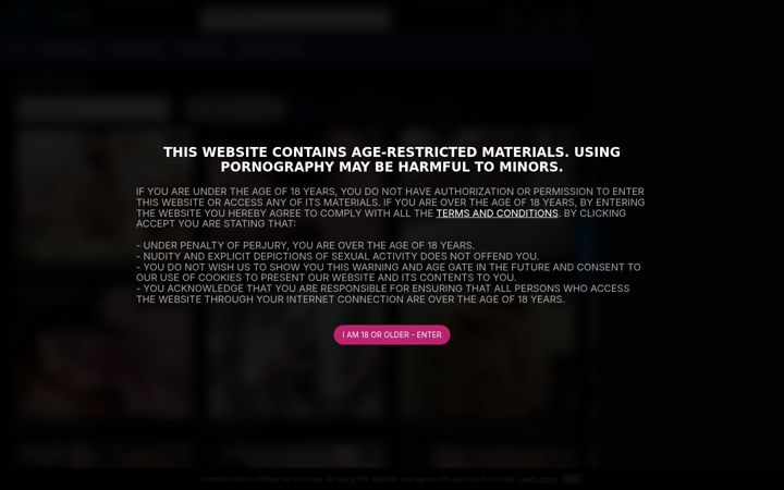 Screenshot of gaygo.tv