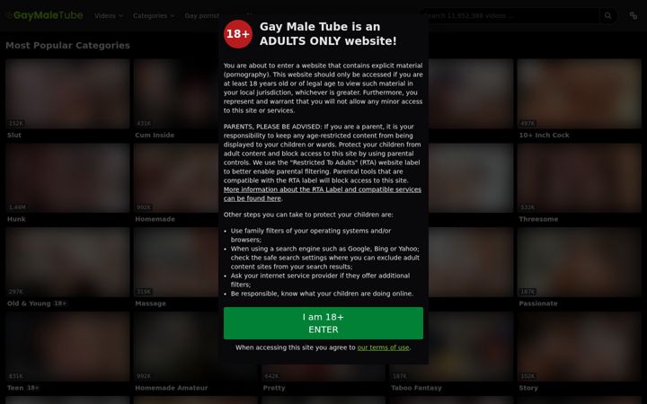 Zrzut ekranu gaymaletube.com