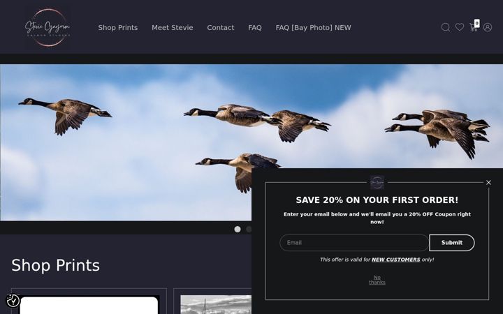 Screenshot of gaymonstudios.com