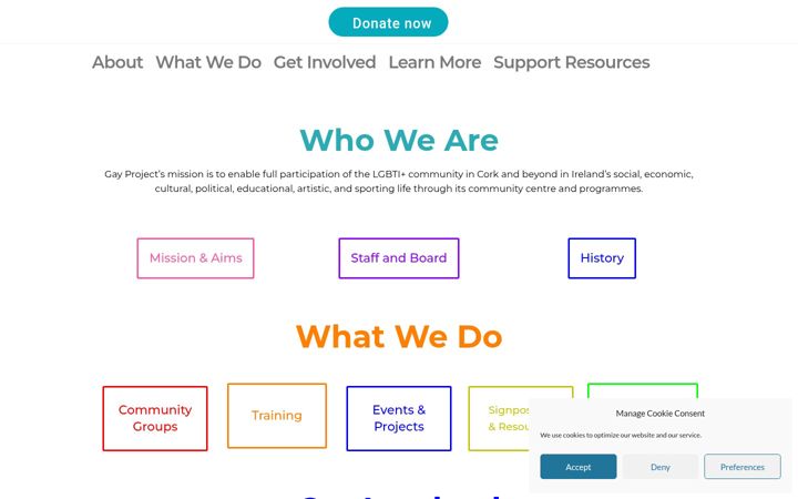 Screenshot of gayproject.ie