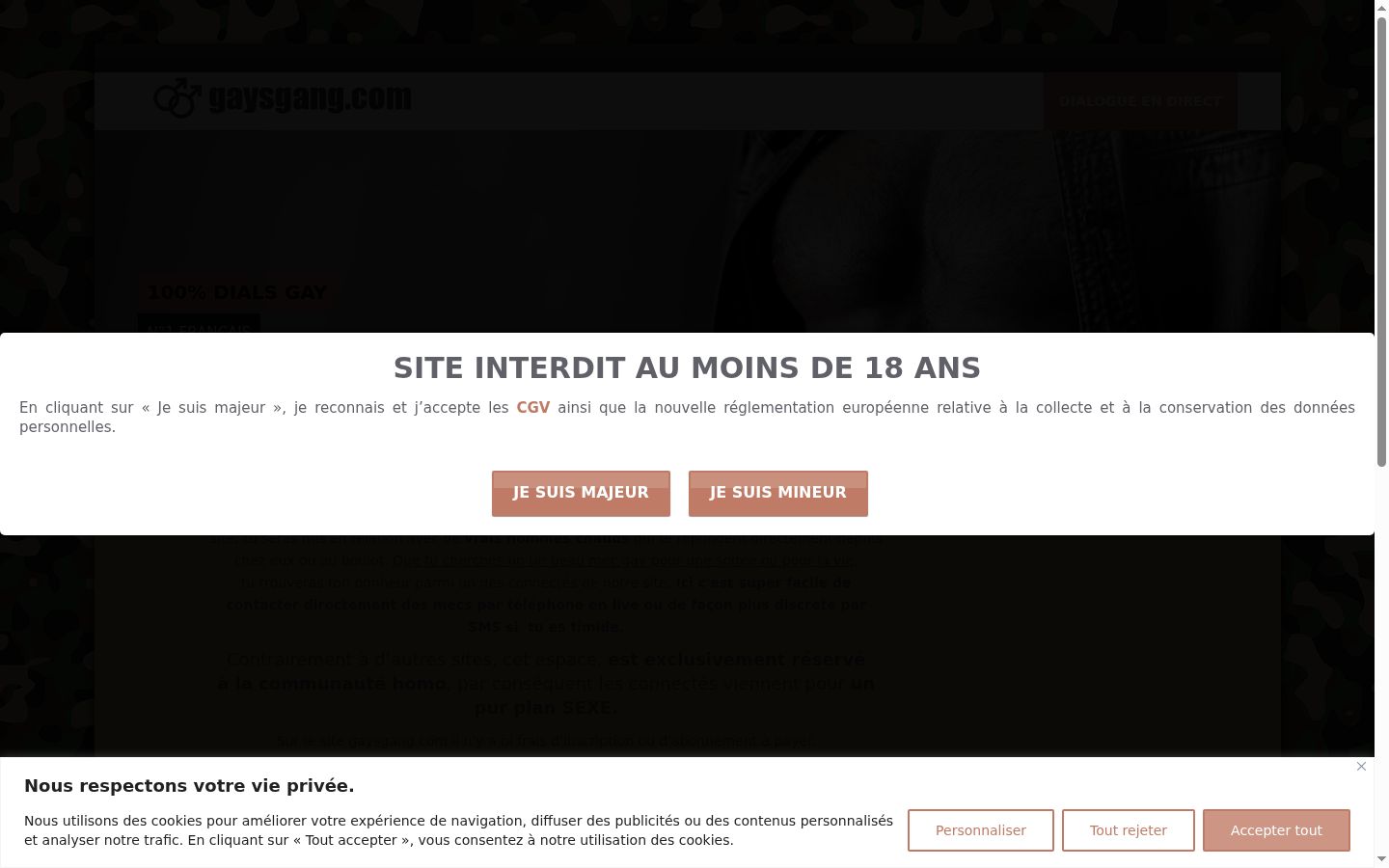 Screenshot del banner di consenso mostrato prima di qualsiasi interazione