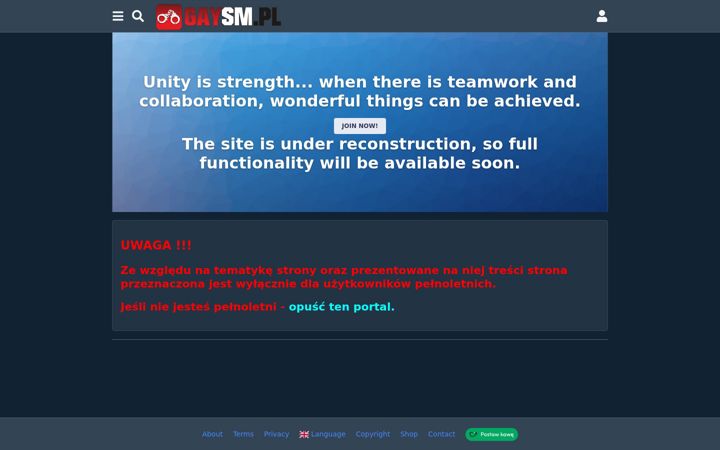 Screenshot of gaysm.pl