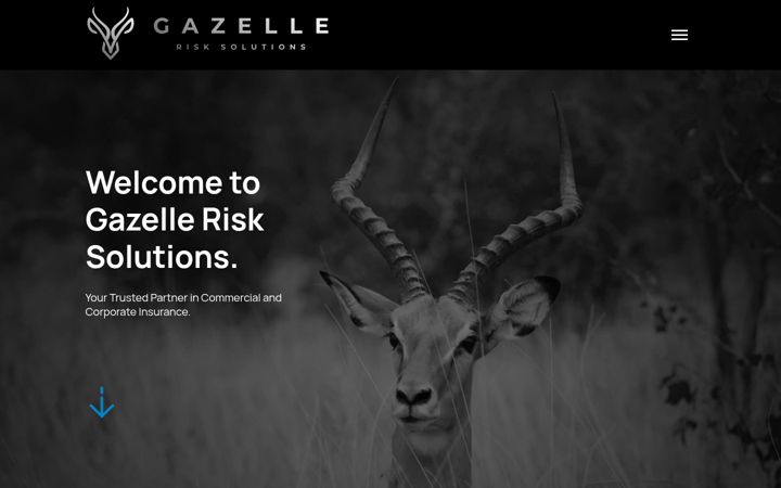 Screenshot of gazellerisk.com