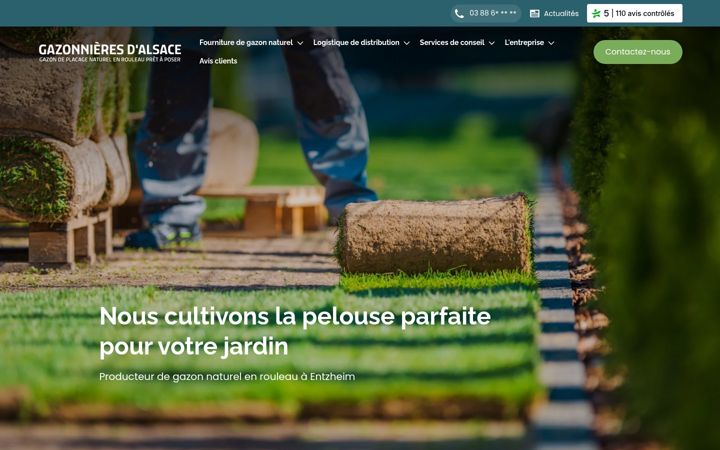 Screenshot of gazonnieres-d-alsace.fr