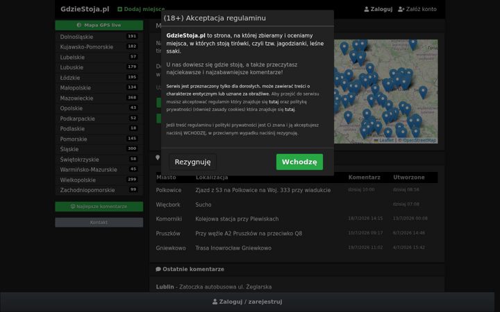 Screenshot of gdziestoja.pl