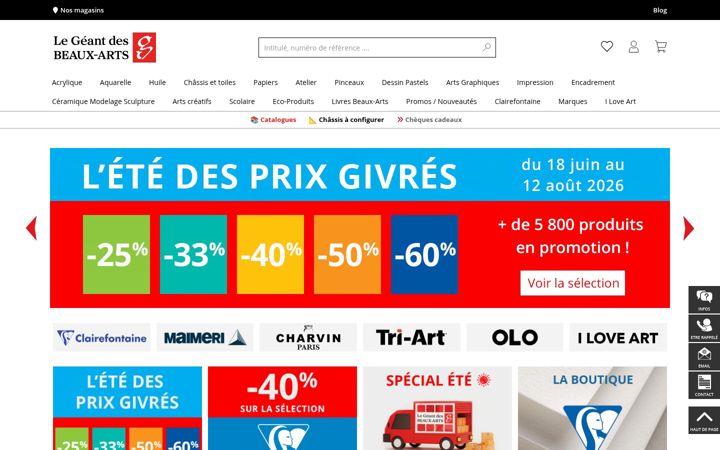 Screenshot of geant-beaux-arts.fr