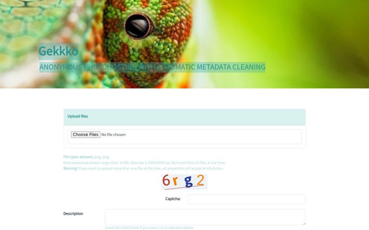 Screenshot of gekkk.co