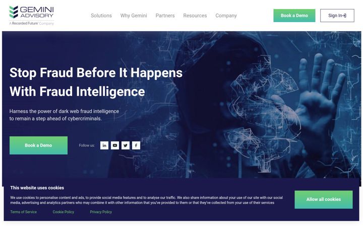 Screenshot of geminiadvisory.io