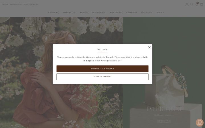 Screenshot of gemmyo.com