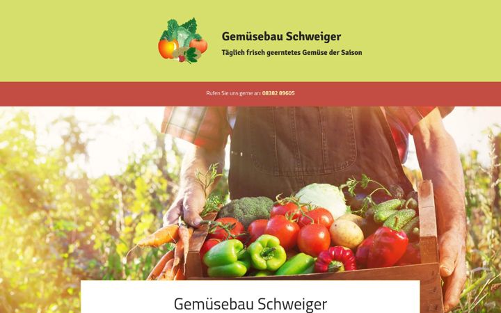 Skjermbilde av gemuese-schweiger.de