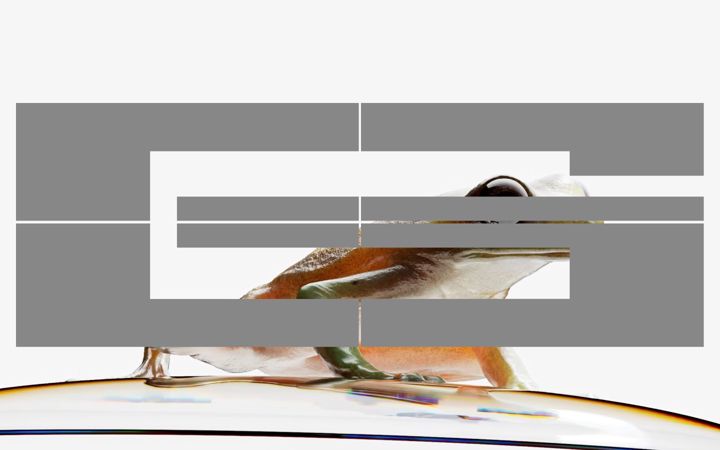 Screenshot of genera.live