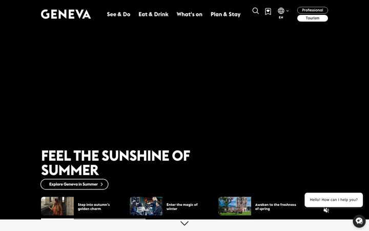 Screenshot of geneve.com