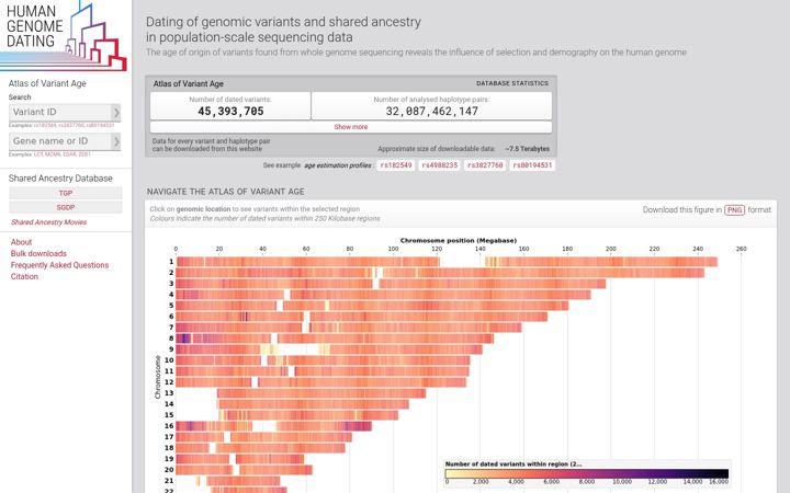 Screenshot of genome.dating