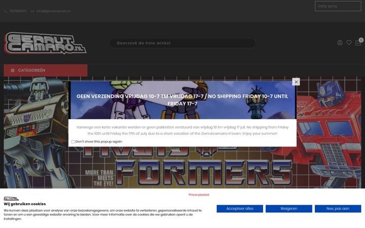Screenshot of gerrutcamaro.nl