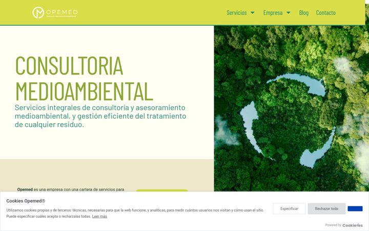 Screenshot of gestionderesiduosonline.com
