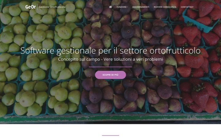 Screenshot of gestioneortofrutticola.it