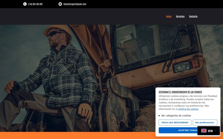 Screenshot of gestionesfalcon.com