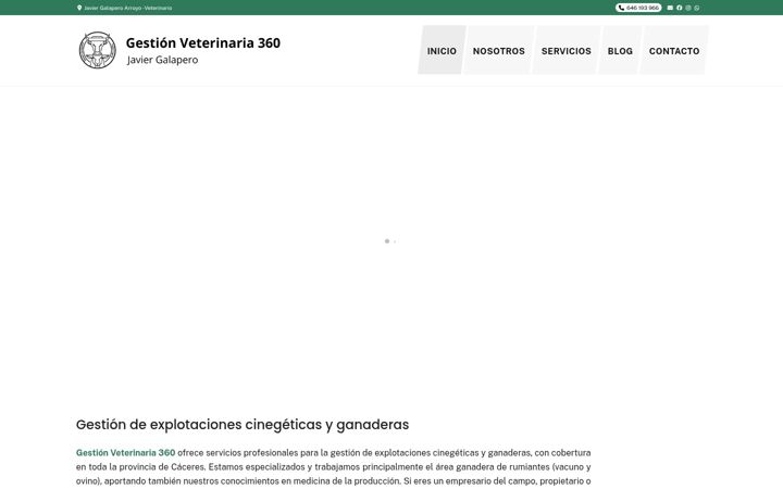 Screenshot of gestionveterinaria360.com