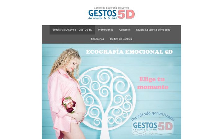 Screenshot of gestos5d.es