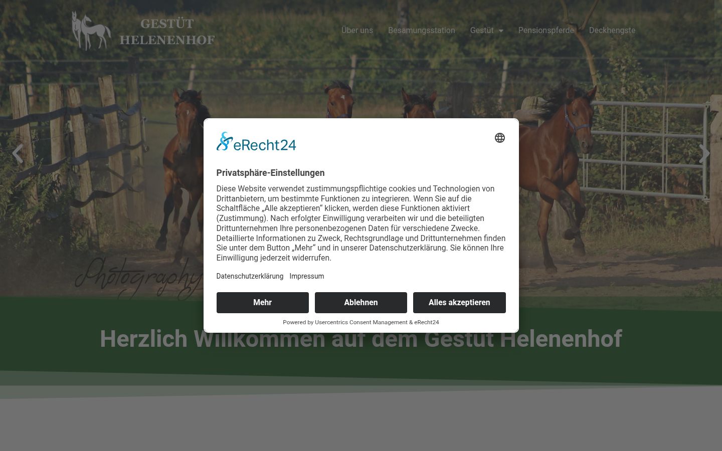 Screenshot of the consent banner shown before any interaction
