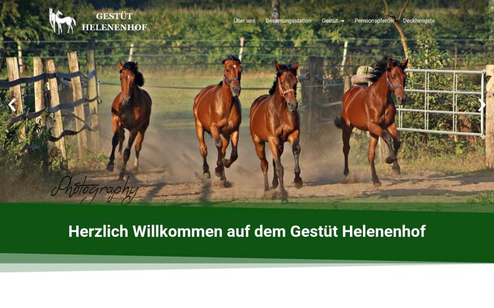 Screenshot of gestuet-helenenhof.de