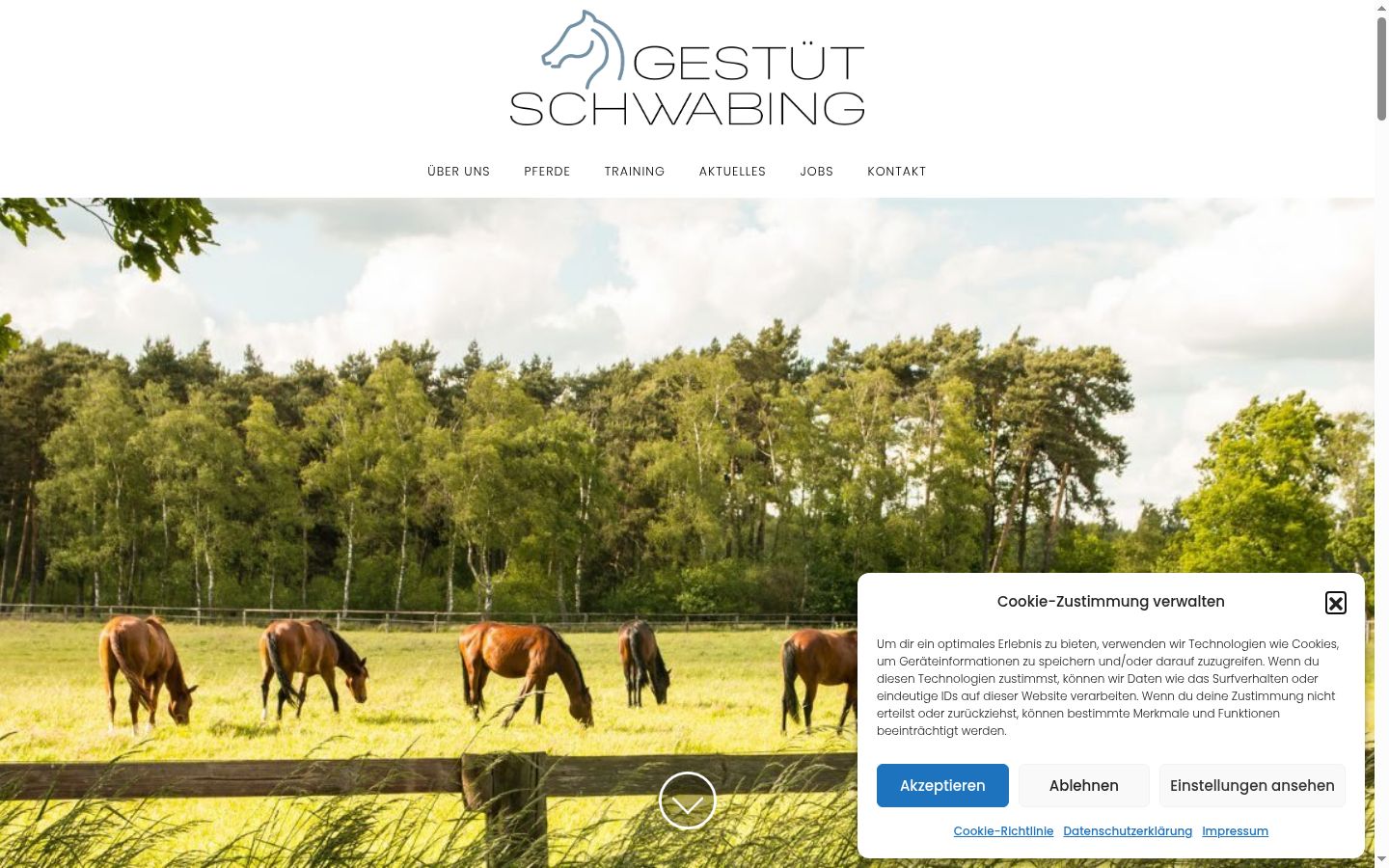 Screenshot of the consent banner shown before any interaction