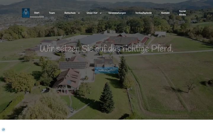 Screenshot of gestuet-sengelen.de